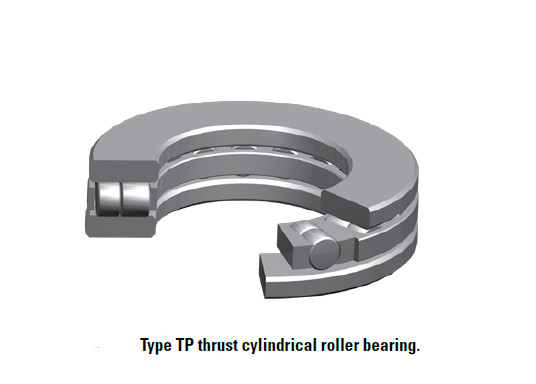 TP  cylindrical roller bearing 180TP170