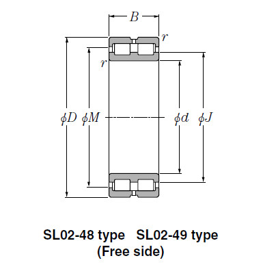 SL Type Cylindrical Roller Bearings NTN SL01-4960