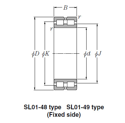 SL Type Cylindrical Roller Bearings NTN SL01-4920