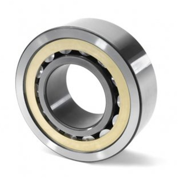 sg Thrust cylindrical roller bearings 81132    