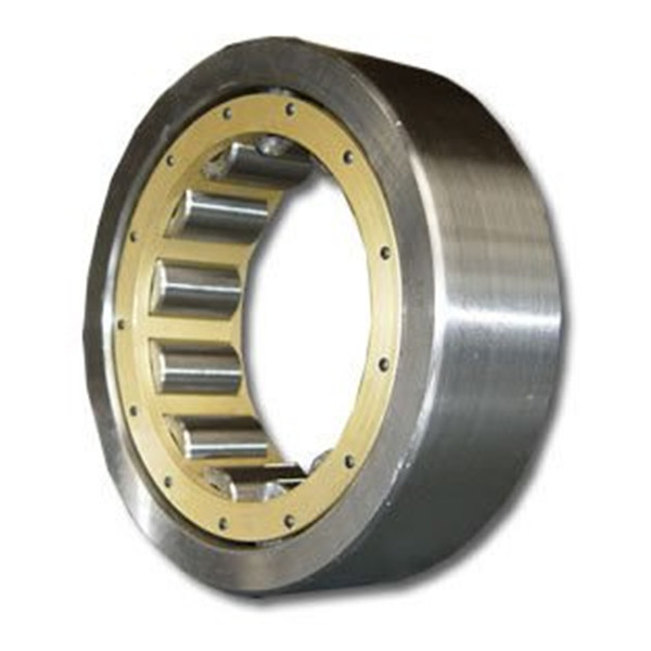 sg Thrust cylindrical roller bearings 811/670    