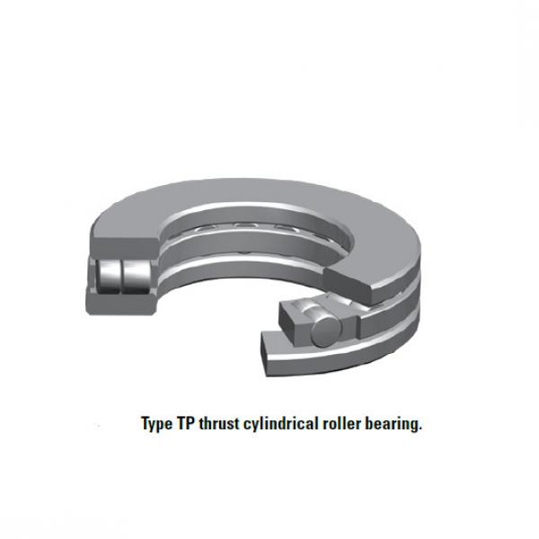 TP  cylindrical roller bearing 100TP144 #1 image