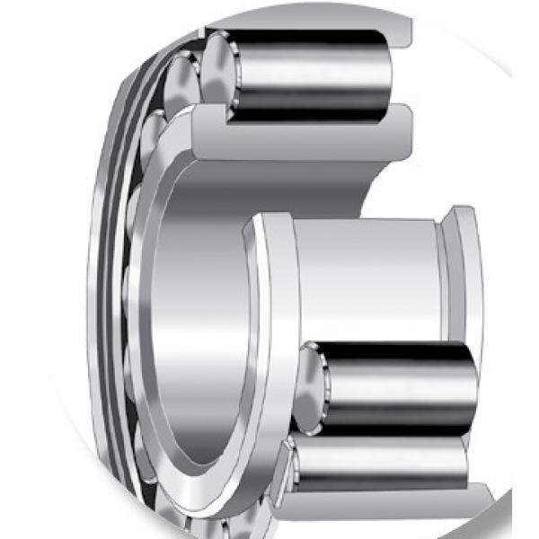 CYLINDRICAL ROLLER BEARINGS one-row STANDARD SERIES 170RT93 #1 image