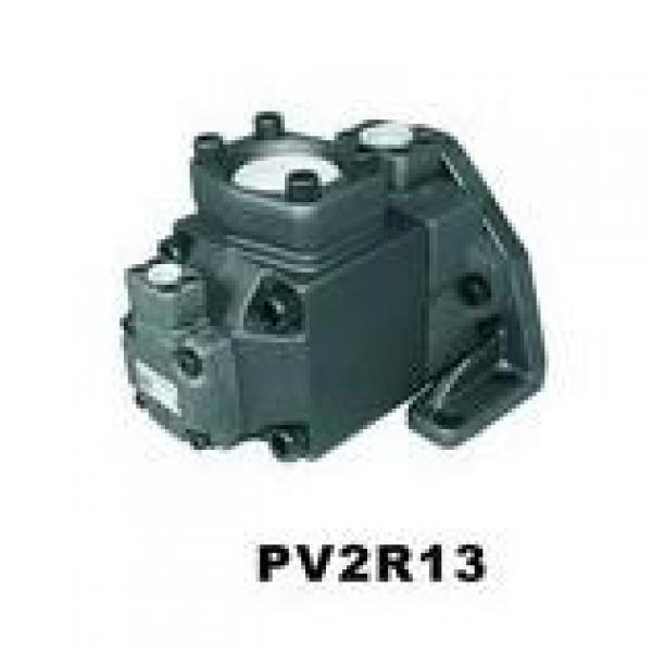  Parker Piston Pump 400481005124 PV140R1K1T1NMLZ+PVAC2MCM #1 image
